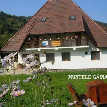 Pensiunea Muntele Gaina Tarsa  Zewnętrze zdjęcie